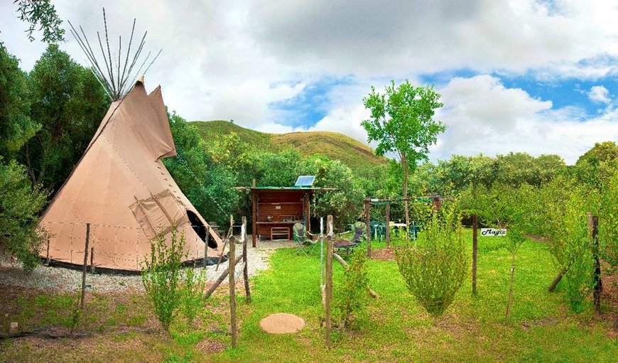 Magic TiPi: Magic TiPi