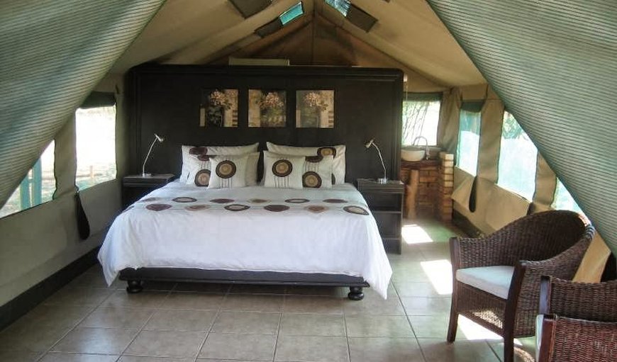 Bushbaby Luxury Tent: Bushbaby Luxury Tent