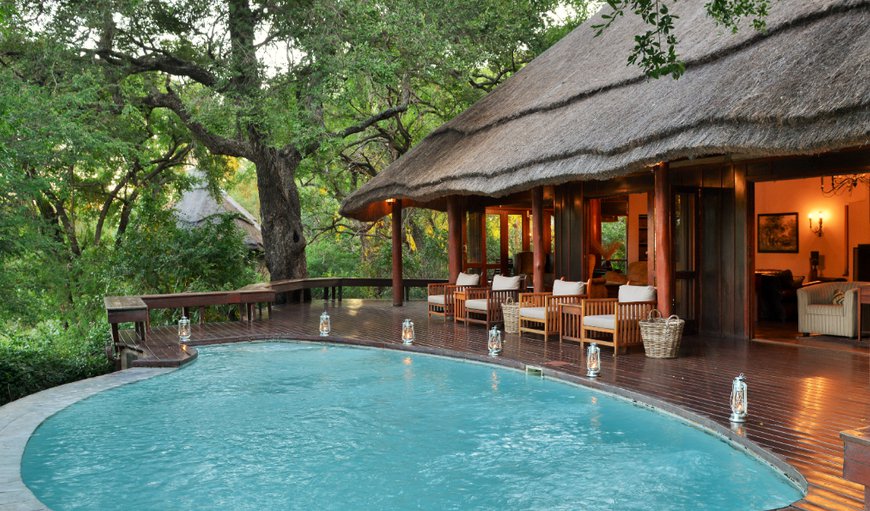 The sparkling swimming pool in the main area promises a refreshing dip while providing the opportunity to enjoy the rich and varied wildlife that visits to the Imbali Safari Lodge water hole daily to enjoy for a cooling drink. The sparkling swimming pool in the main area promises a refreshing dip while providing the opportunity to enjoy the rich and varied wildlife that visits to the Imbali Safari Lodge water hole daily to enjoy for a cooling drink.
