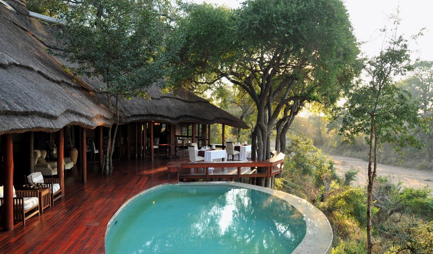The sparkling swimming pool in the main area promises a refreshing dip while providing the opportunity to enjoy the rich and varied wildlife that visits to the Imbali Safari Lodge water hole daily to enjoy for a cooling drink. The sparkling swimming pool in the main area promises a refreshing dip while providing the opportunity to enjoy the rich and varied wildlife that visits to the Imbali Safari Lodge water hole daily to enjoy for a cooling drink.