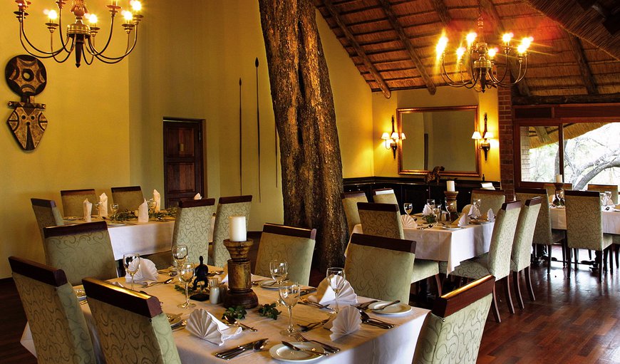 An impressive Jackalberry keeping diners company as it rises through the lodge’s floor and peeps well out over the Tsonga-styled thatched roof. An impressive Jackalberry keeping diners company as it rises through the lodge’s floor and peeps well out over the Tsonga-styled thatched roof.