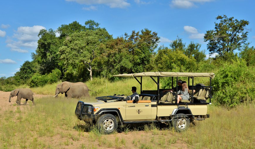 We are able to offer you one hundred square kilometres of exclusive safari space – only our own vehicles traverse this area We are able to offer you one hundred square kilometres of exclusive safari space – only our own vehicles traverse this area