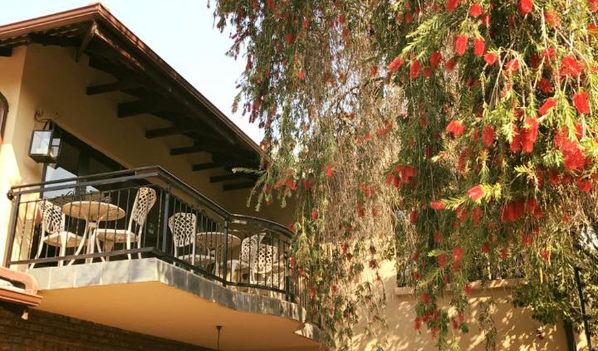 Breakfast room patio