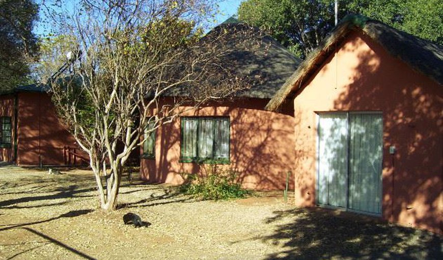 Welcome to Africa Unplugged Guest House  in Zeerust, North West Province, South Africa