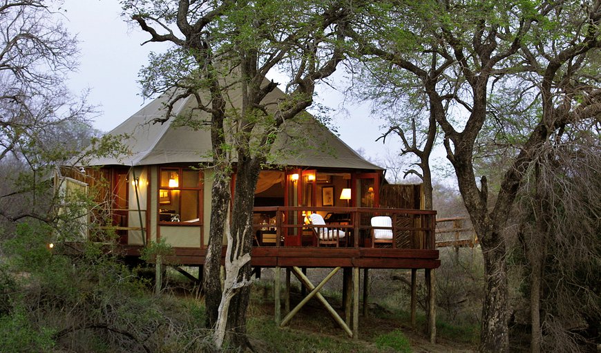 Hamiltons Tented Camp epitomises luxury with an outstanding safari experience. Magnificent tented suites complete with teak floorboards, dreamy mosquito nets, slipper baths, outdoor showers and a superb view of the complete seasonal river, linked to the main lodge area by raised timber walkways amongst ancient Jackalberry trees. Hamiltons Tented Camp epitomises luxury with an outstanding safari experience. Magnificent tented suites complete with teak floorboards, dreamy mosquito nets, slipper baths, outdoor showers and a superb view of the complete seasonal river, linked to the main lodge area by raised timber walkways amongst ancient Jackalberry trees.