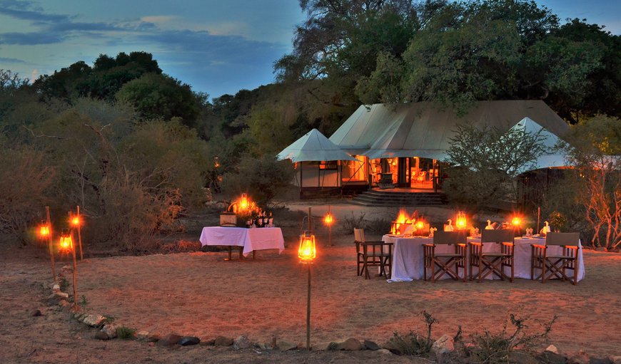 Bush Dinners Join us for a lovely dinner under the African Skies, in an unfenced area of our Private Concession in the Kruger National Park. This is a privilege that is reserved for our guests only. Nowhere else in Kruger will you be able to dine with the Big Five. Bush Dinners Join us for a lovely dinner under the African Skies, in an unfenced area of our Private Concession in the Kruger National Park. This is a privilege that is reserved for our guests only. Nowhere else in Kruger will you be able to dine with the Big Five.