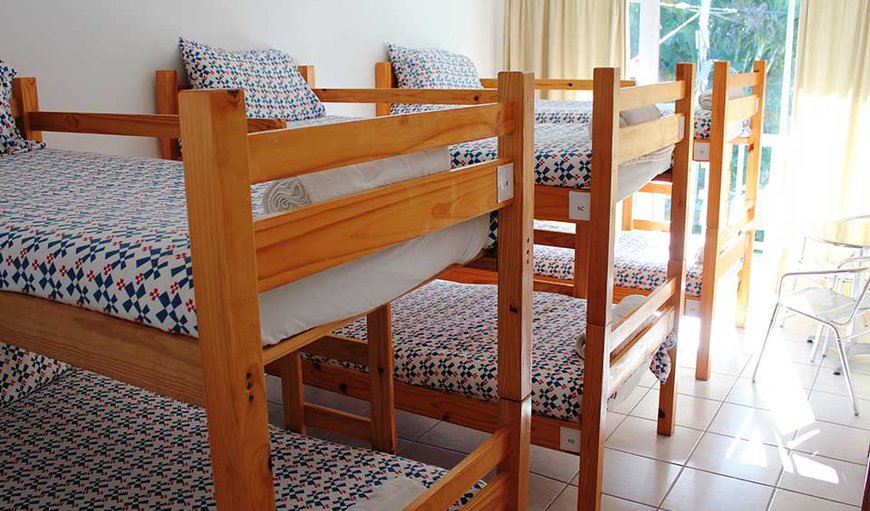 Dorm Room: Dorm Room with bunk beds.