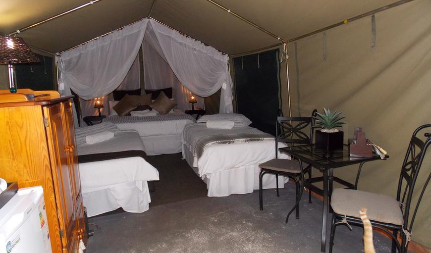 4 x Bedrooms BUSH LOG CABIN: 8 x Sleeper tented unit