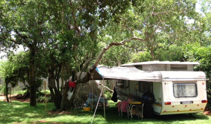 Rhino B DOUBLE  camping site 8 guests: Rhino B Camping Site