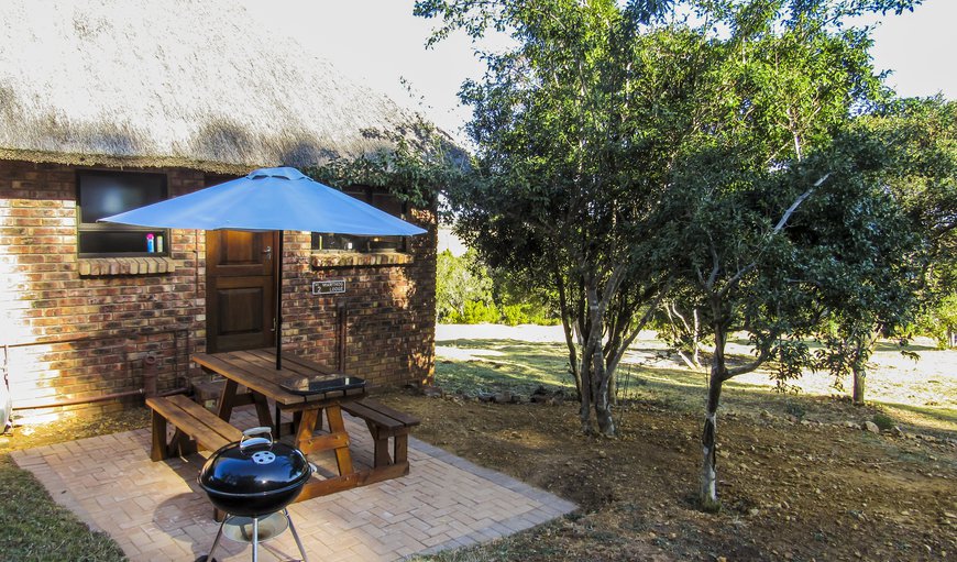 Warthog - Standard Lodge: Outdoor dining area and braii