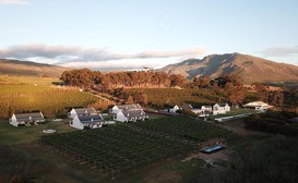 Endless Vineyards at Wildekrans Wine Estate image