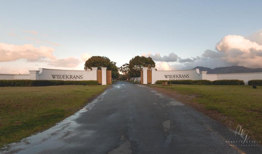 Entrance to Endless Vineyards at Wildekrans Wine Estate