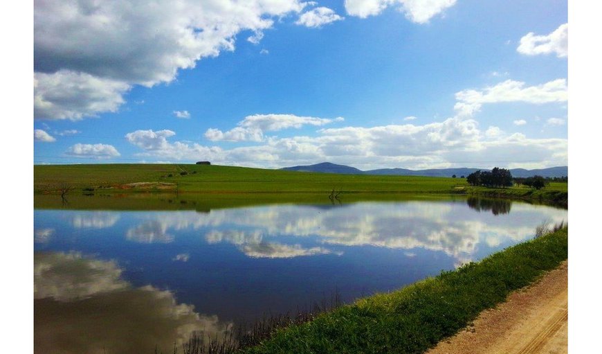 ESCAPE FROM THE RUSH . . .
. . . to this peaceful Cape Winelands farm. in Hermon , Western Cape, South Africa