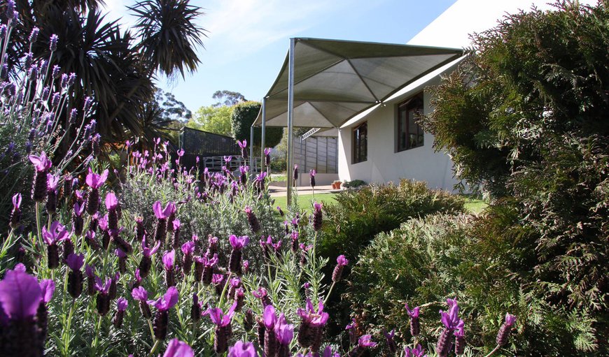 Welcome to Nerina Self Catering in Caledon, Western Cape, South Africa