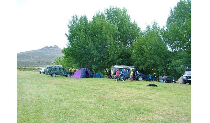 Camp Sites: Camp Sites - Grass covered site