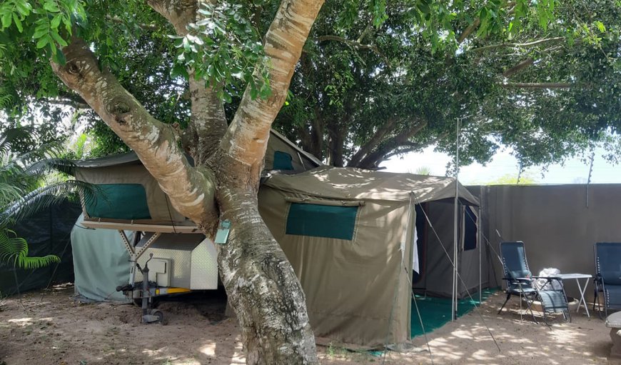 Campsite: Camping Site