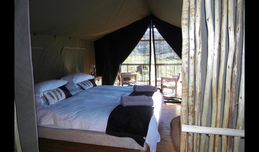 Tent with a king-size bed: Tent with a king-size bed.