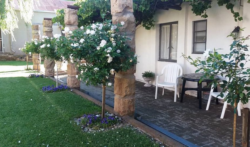 Garden in Lady Grey , Eastern Cape, South Africa
