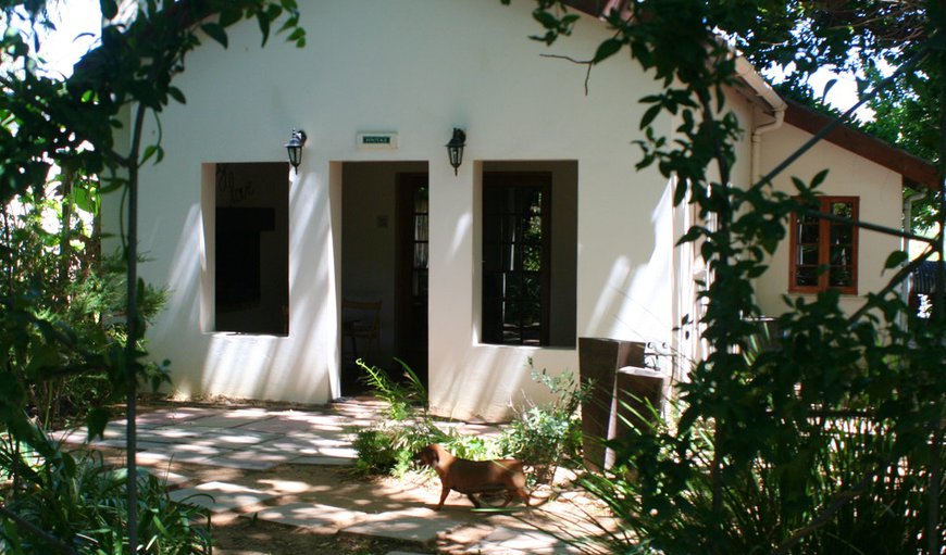 Pinotage: Pinotage