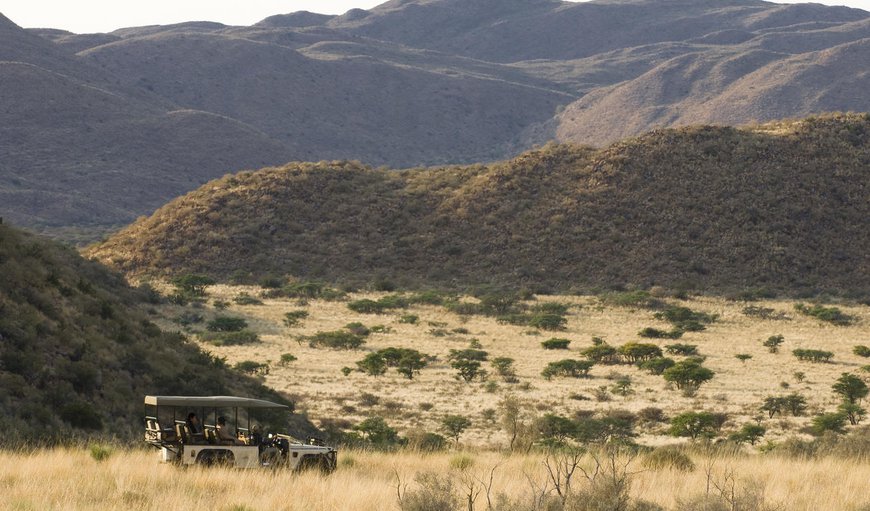 Every Tswalu safari is a true journey to the heart of an inspired conservation vision, and a landscape that’s dreamlike in its intensity and scale. Every Tswalu safari is a true journey to the heart of an inspired conservation vision, and a landscape that’s dreamlike in its intensity and scale.