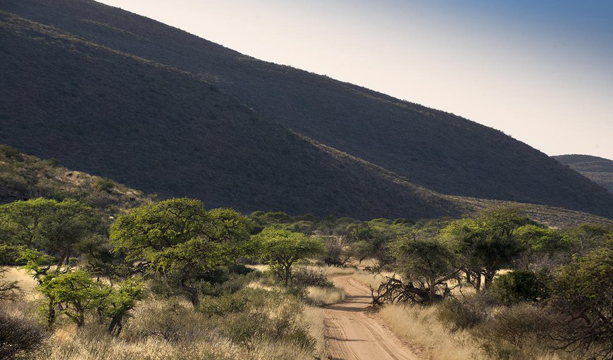 Tswalu is a vast, magical land of infinite possibility, with sweeping vistas and a liberating sense of space. Tswalu is a vast, magical land of infinite possibility, with sweeping vistas and a liberating sense of space.
