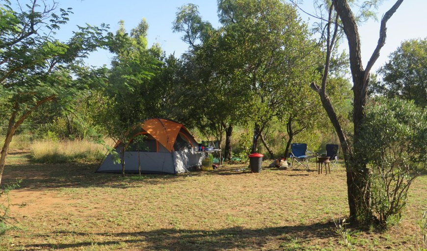 Camp Site 7: Camp Stand E