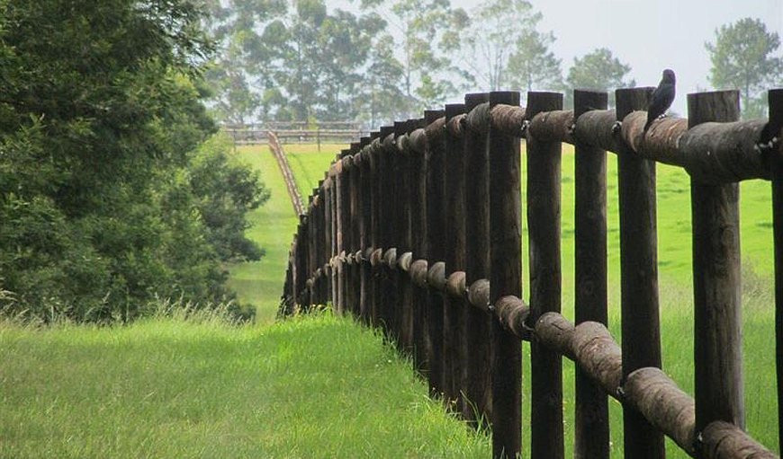 Sweetwater Farm