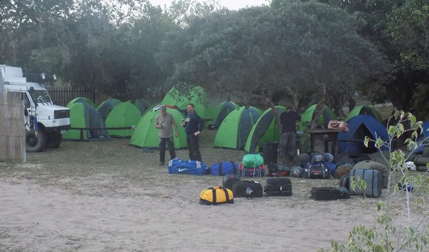 Campsites photo 23