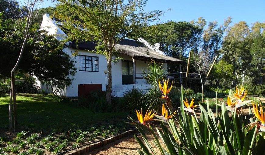 One Bedroom Thatched Cottage: One Bedroom Cottage