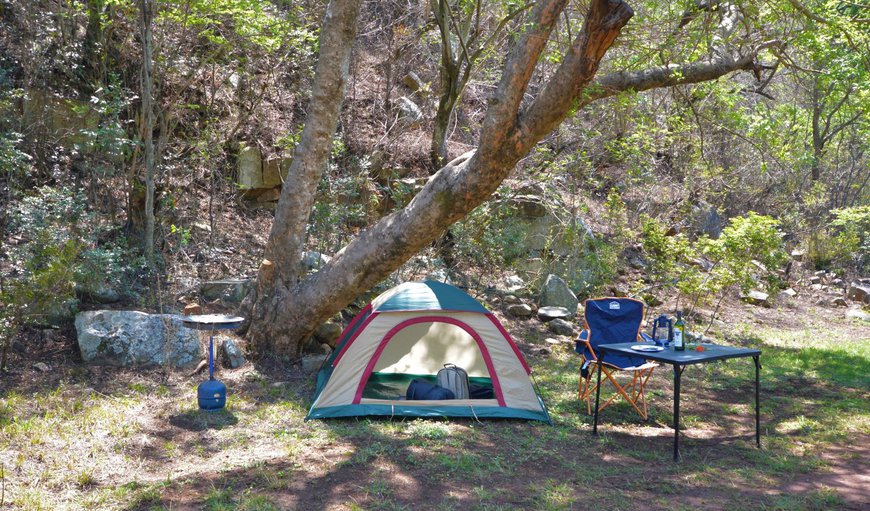 Hoopoe-4 Camper/Tent Site (No Room): Hoopoe Camp Site 4