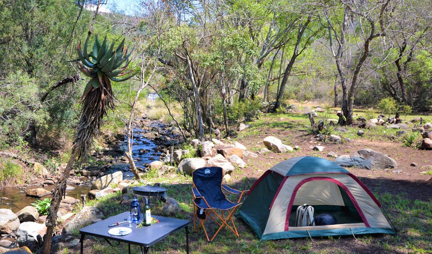 Loerie-3 Caravan & Tent Site (No Room): Loerie Camp Site 3