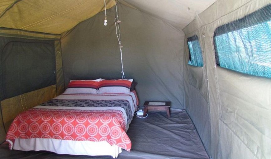 Tent 4: Photo of the whole room