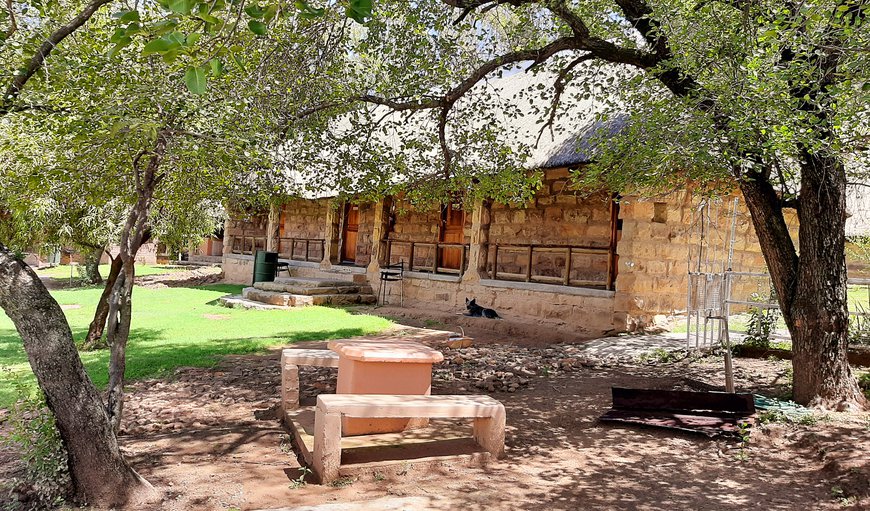 View of our semi-detached units, Buffalo Base and Rhino's Rest with a picnic spot under the pear trees. View of our semi-detached units, Buffalo Base and Rhino's Rest with a picnic spot under the pear trees.