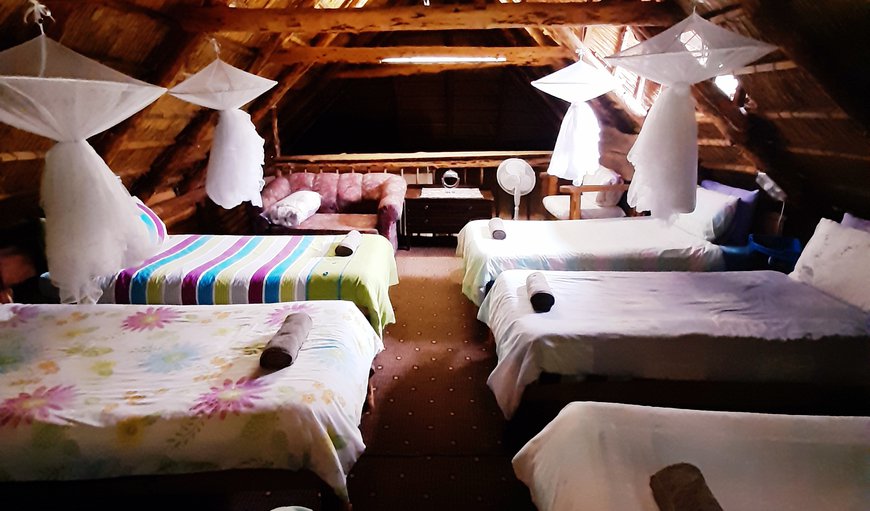 Petra Hostel - Backpacker Unit: Loft