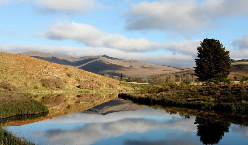 Welcome to Lowestoffe Country Lodge in Hogsback, Eastern Cape, South Africa