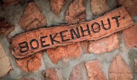 Boekenhout Cottage: Boekenhout Cottage