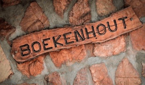 Boekenhout Cottage: Boekenhout Cottage