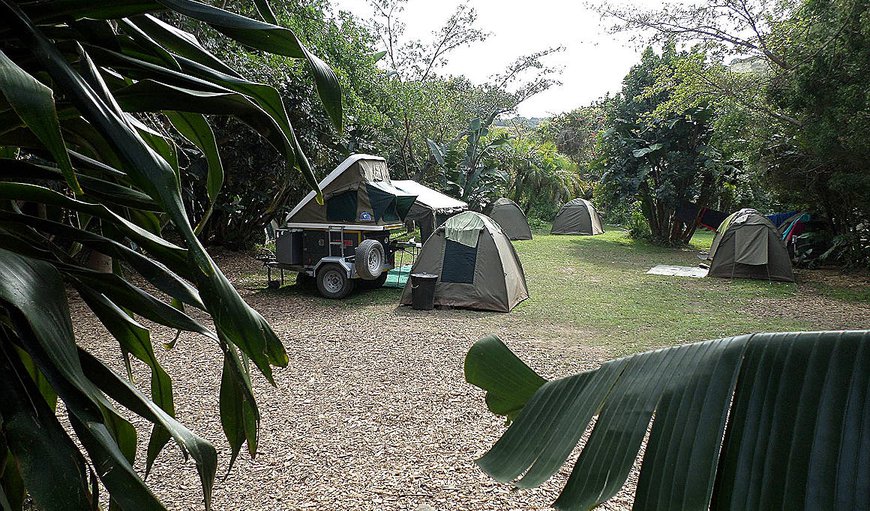 Camp Site without electricity: Camp site without electricity