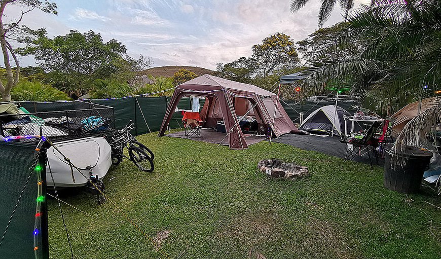 Camp Site with Electrical Points: Camp Site with Electrical Points