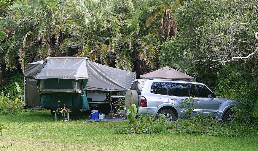 Camp Site without electricity: Camp Site without Electricity