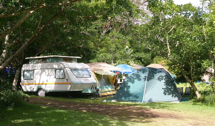 Camp Site with Electrical Points: Campsite with electricity 