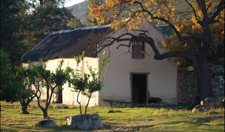 Welcome to Bovlei Guest Farm in Clanwilliam, Western Cape, South Africa