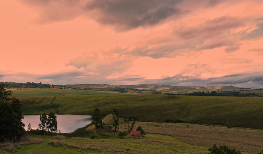 Fernbank farm is nestled in  a beautiful valley surrounded by rolling hills with vast open vistas of the Mpumalanga escarpment. in Machadodorp, Mpumalanga, South Africa
