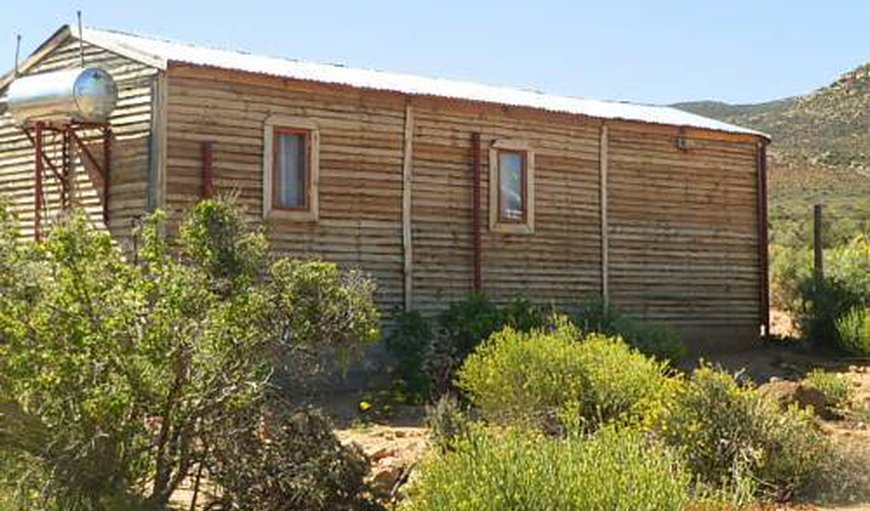 Bungalow/Cabin: Cabin/Bungalow Exterior