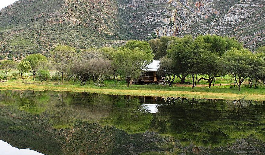Welcome to Bo-Kloof Guest Farm in Baviaanskloof, Eastern Cape, South Africa