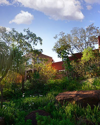 Dinokeng Game Reserve