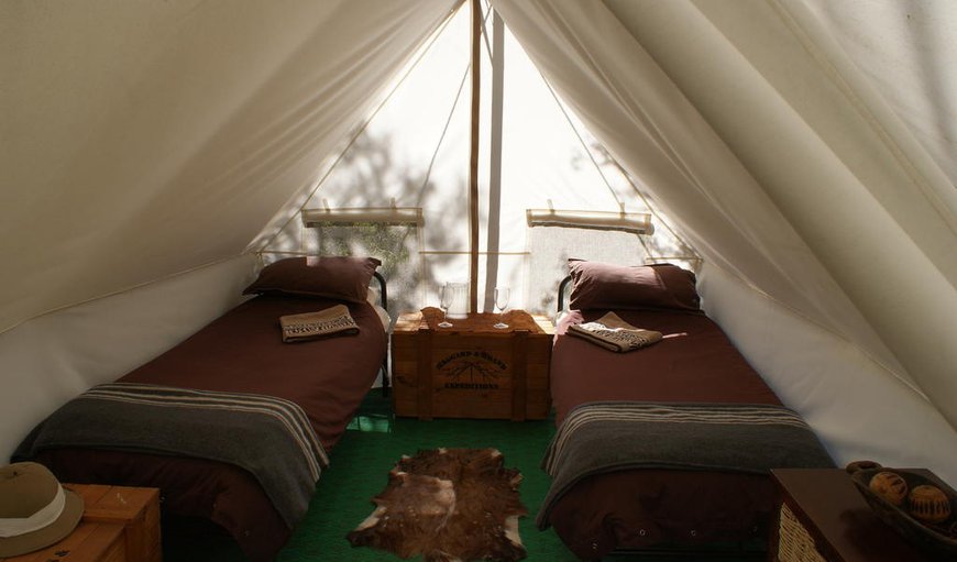 Twin Tent : Twin Tent