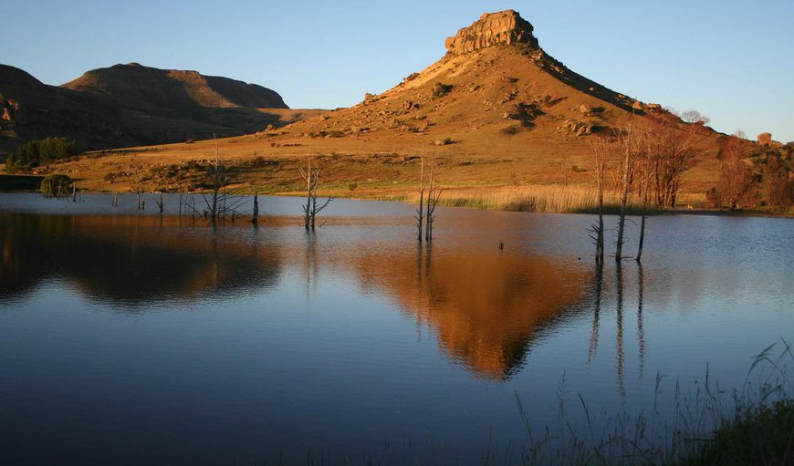 Welcome to Welcome to Arpa Guest Farm. in Fouriesburg, Free State Province, South Africa