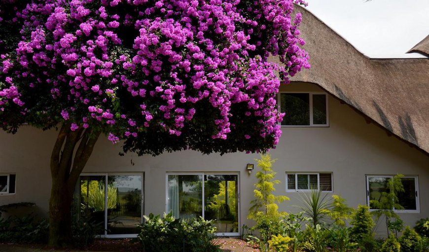 Welcome to Highveld Splendour Boutique Hotel in Ermelo, Mpumalanga, South Africa