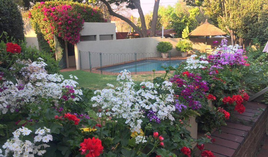 Welcome to Liz At Lancaster Bed & Breakfast! in Craighall Park, Johannesburg (Joburg), Gauteng, South Africa
